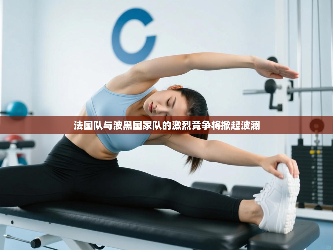 法国队与波黑国家队的激烈竞争将掀起波澜  第2张