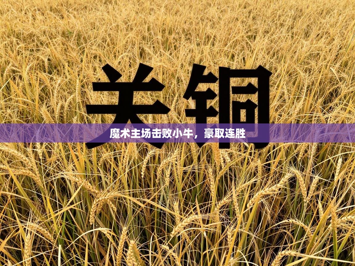 魔术主场击败小牛，豪取连胜  第1张